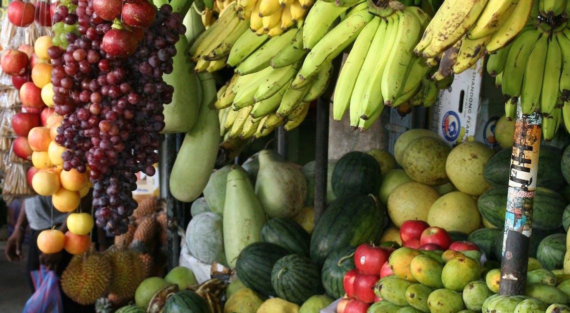 Frugtens Forunderlige Verden: En Subjektiv Rejse i Smag og Økologi